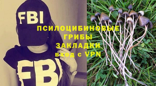 Альфа ПВП Армянск